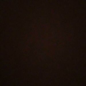 Meet your Posher, Mya